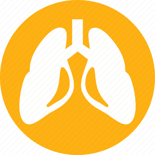 Human, lungs, anatomy, body, organ icon - Download on Iconfinder
