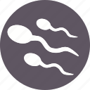 sperm, anatomy, body, fertilization, human, part, spermatozoon