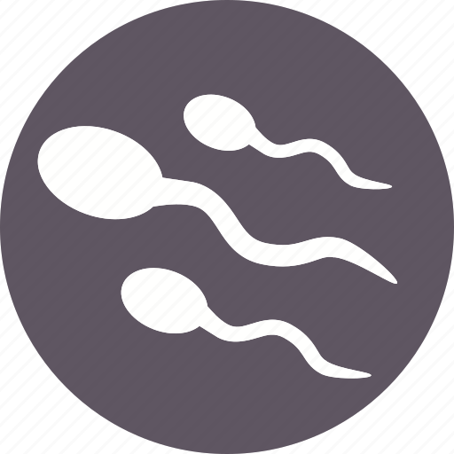 Sperm, anatomy, body, fertilization, human, part, spermatozoon icon - Download on Iconfinder