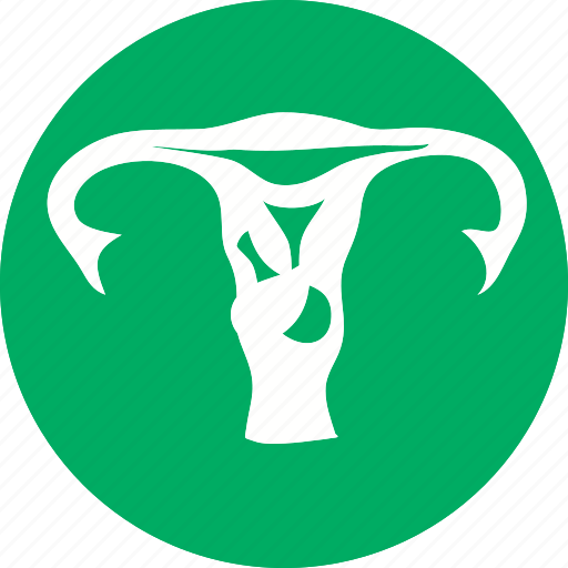 Human, uterus, body, female, healthcare, lady, woman icon - Download on Iconfinder