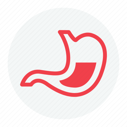 Digestion, gastroenterology, stomach, stomach icon icon - Download on Iconfinder