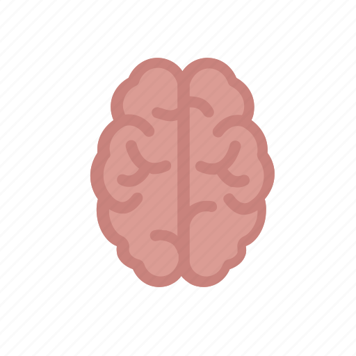 Anatomy, brain, human, mind, organ icon - Download on Iconfinder
