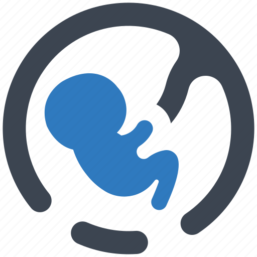 Baby, embryo, fetus, pregnant, pregnancy icon - Download on Iconfinder
