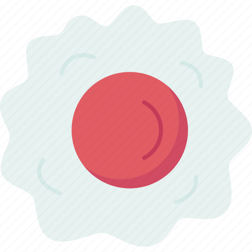 Cells, ovum, ovary, uterus, reproductive icon - Download on Iconfinder