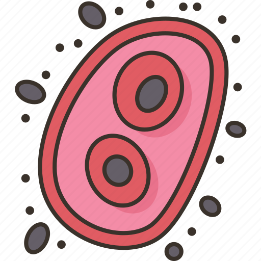 Cells, cartilage, connective, tissue, elastic icon - Download on Iconfinder