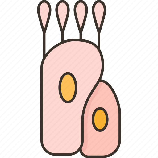 Cells, ciliated, epithelial, tissue, microscopic icon - Download on Iconfinder