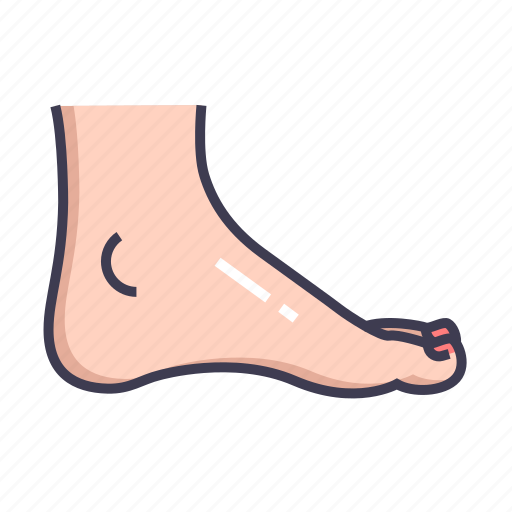 Ankle, foot, leg icon - Download on Iconfinder on Iconfinder