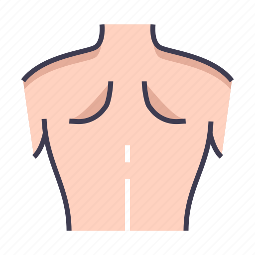 Anatomy, back, body icon - Download on Iconfinder