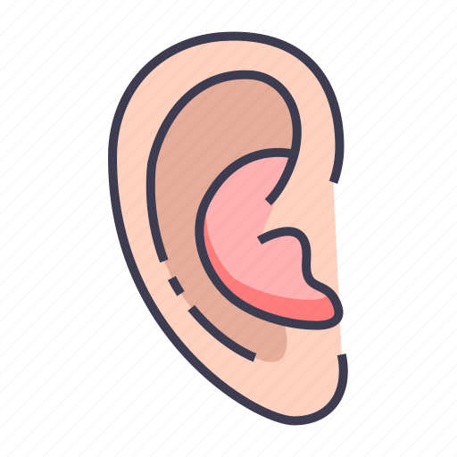 Anatomy, ear, listen icon - Download on Iconfinder