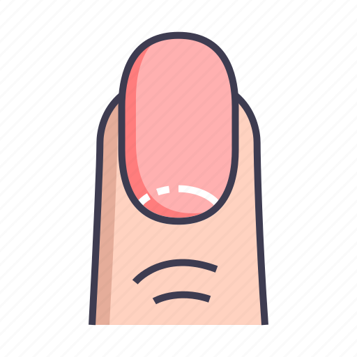 Anatomy, finger, nail icon - Download on Iconfinder