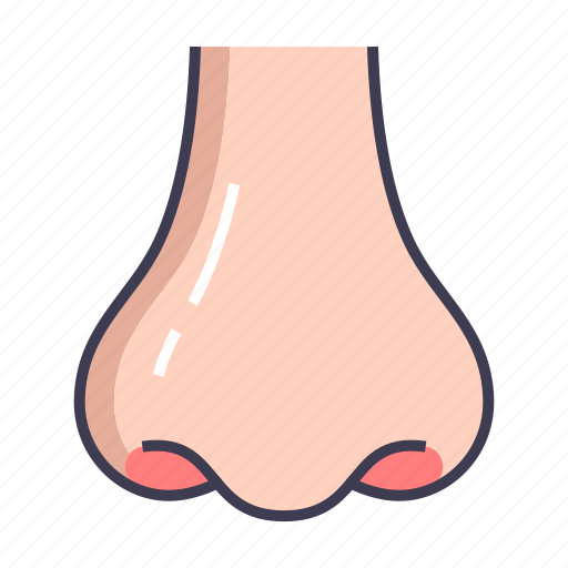 Anatomy, body, nose icon - Download on Iconfinder