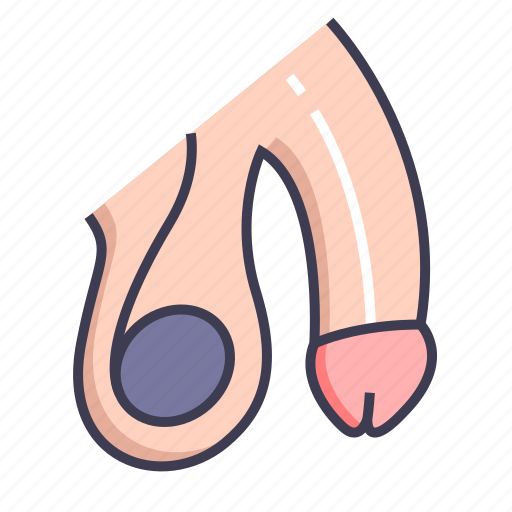 Anatomy, body, penis icon - Download on Iconfinder