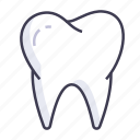 dental, teeth, tooth