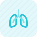 lungs, respiratory, windpipe