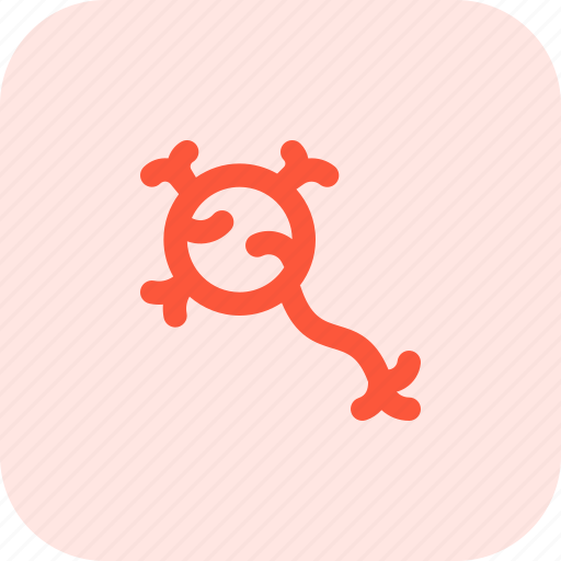 Neuron, nerve, cells icon - Download on Iconfinder