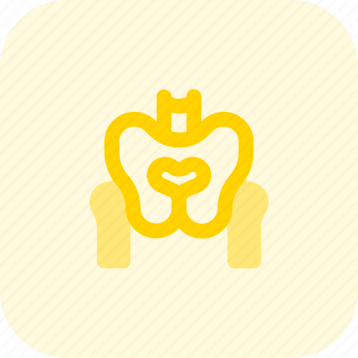 Pelvis, abdominal, organ icon - Download on Iconfinder