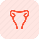 uterus, reproductive, organ