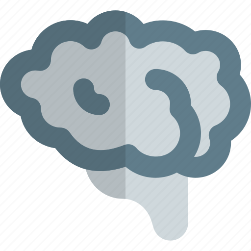Brain, healthcare, organ icon - Download on Iconfinder