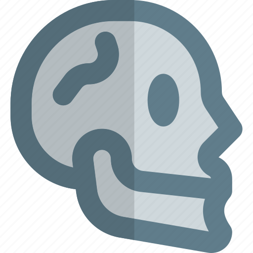 Skull, healthcare, organ icon - Download on Iconfinder