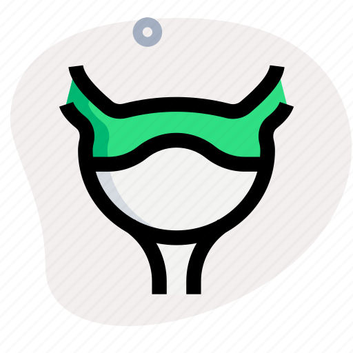 Bladder, healthcare, organ icon - Download on Iconfinder