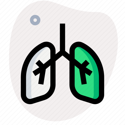 Lungs, healthcare, organ icon - Download on Iconfinder