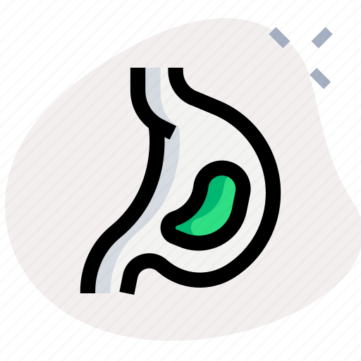 Stomach, healthcare, organ icon - Download on Iconfinder