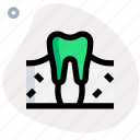 tooth, dentist, teeth