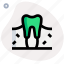 tooth, dentist, teeth 