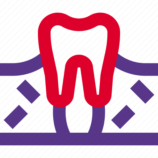 Tooth, organ, healthcare icon - Download on Iconfinder