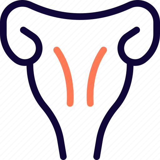 Uterus, organ, healthcare icon - Download on Iconfinder