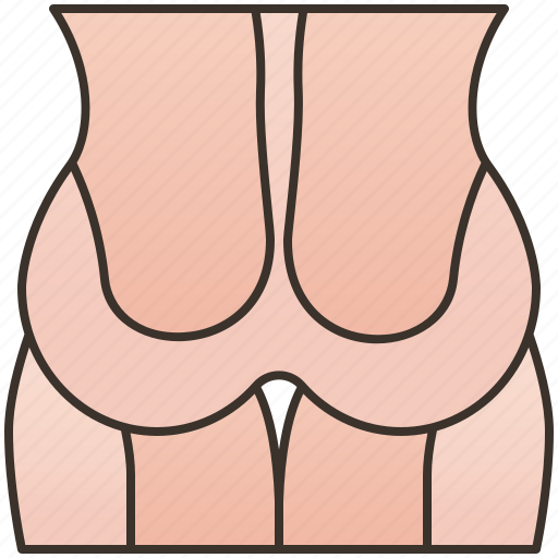 Bottom, buttock, hip, human, muscle icon - Download on Iconfinder