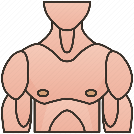 Bodybuilder, chest, human, muscular, torso icon - Download on Iconfinder