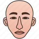 bald, elements, face, head, human