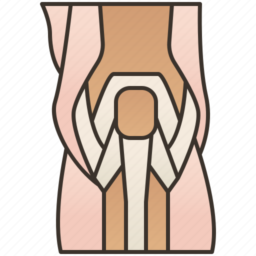 Anatomy, joint, knee, ligament, orthopedic icon - Download on Iconfinder