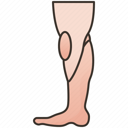 Foot, human, knee, leg, orthopedic icon - Download on Iconfinder
