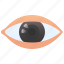 cornea, eye, human, optic, vision 