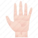 fingers, hand, human, palm, touch