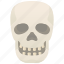 death, head, human, skeleton, skull 