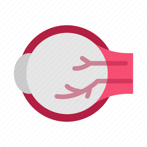 Eyeball, organ, anatomy, medical, healthcare icon - Download on Iconfinder
