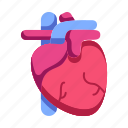 heart, health, medical, healthcare, organ