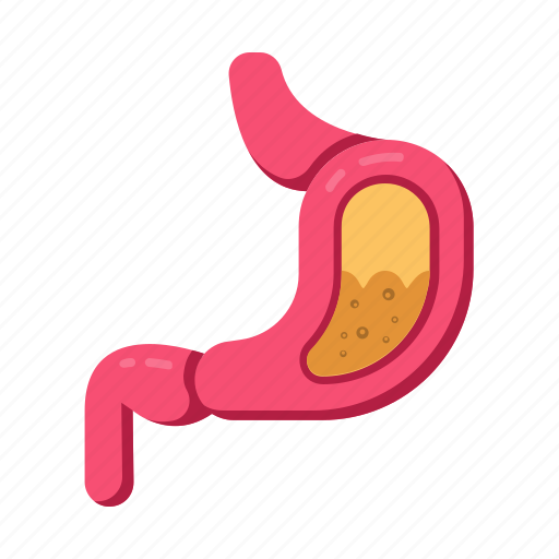 Stomach, organ, anatomy, medical, healthcare icon - Download on Iconfinder