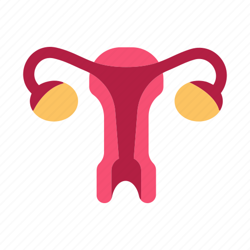 Uterus, organ, healthcare, medical, anatomy icon - Download on Iconfinder