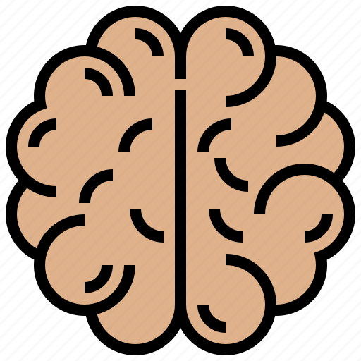 Brain, cerebrum, hemisphere, intelligence, organ icon - Download on Iconfinder