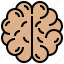 brain, cerebrum, hemisphere, intelligence, organ 
