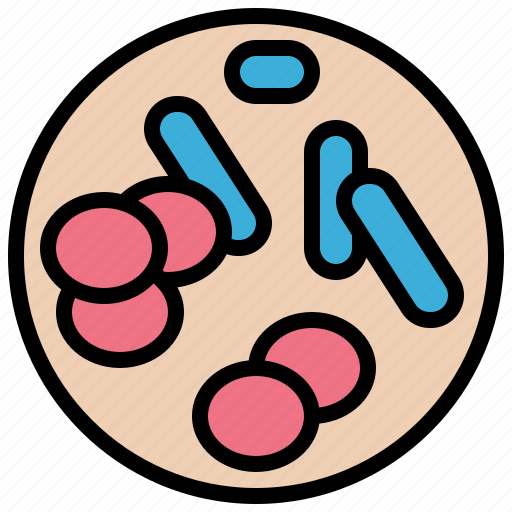 Cell, chromatids, chromosome, genetics, rod icon - Download on Iconfinder