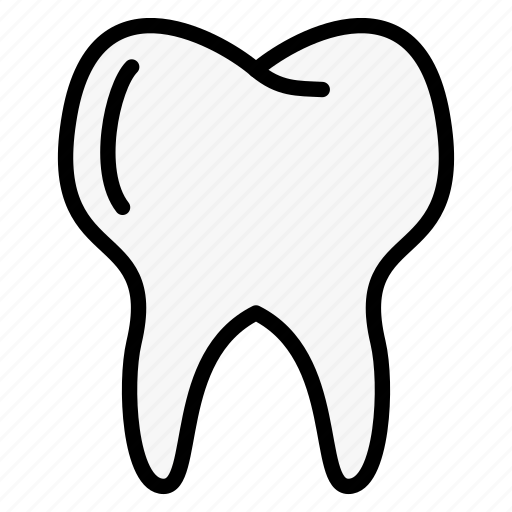 Dental, dentist, organ, stomatologist, tooth icon - Download on Iconfinder