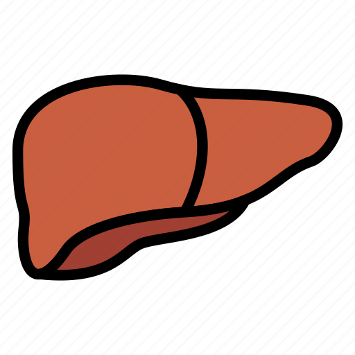 Anatomy, detoxification, hepatology, liver, medicine, organ icon - Download on Iconfinder