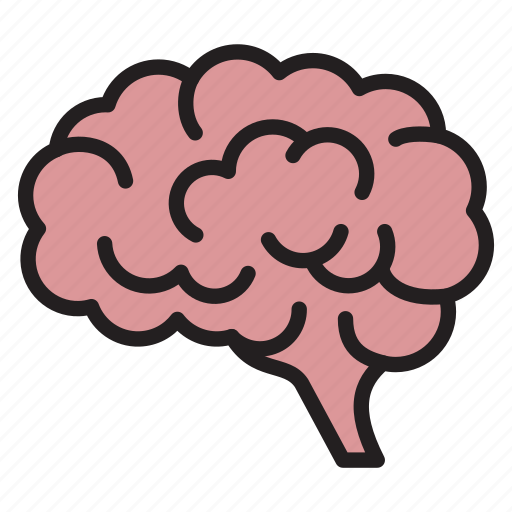 Brain, creative, idea, mind, neuroscience, organ icon - Download on Iconfinder
