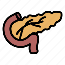internal, organ, pancreas, skin icon