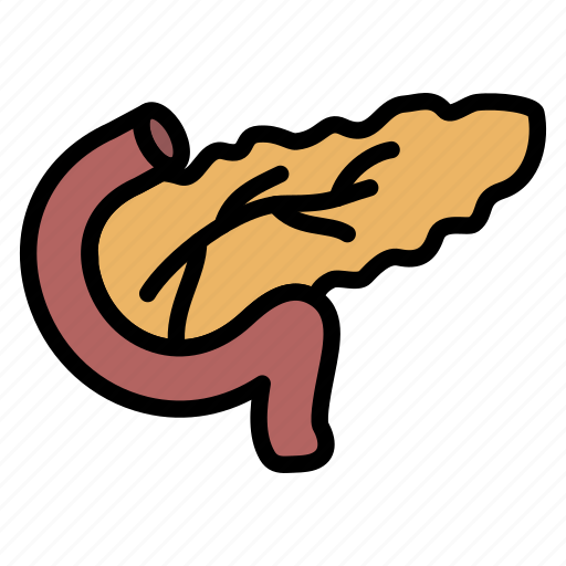Internal, organ, pancreas, skin icon icon - Download on Iconfinder